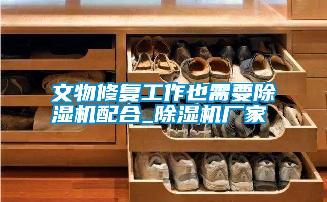 文物修復(fù)工作也需要除濕機(jī)配合_除濕機(jī)廠家