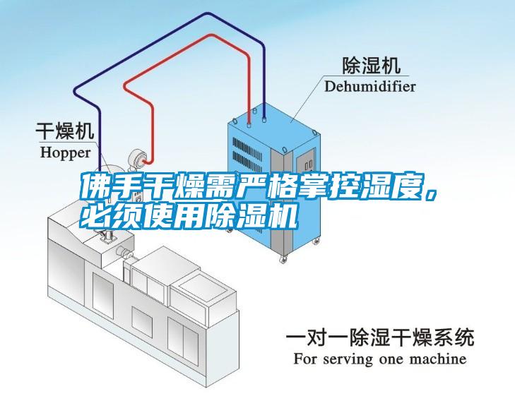 佛手干燥需嚴(yán)格掌控濕度，必須使用除濕機