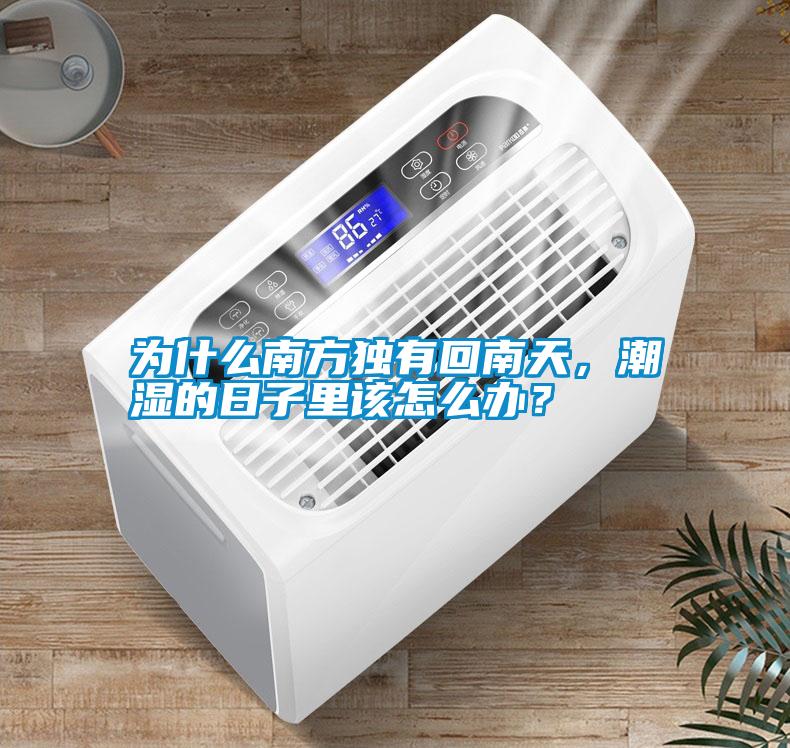 為什么南方獨有回南天，潮濕的日子里該怎么辦？