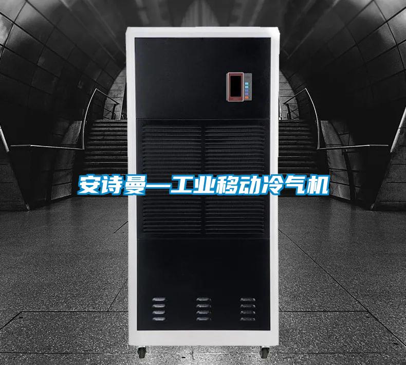 安詩(shī)曼—工業(yè)移動(dòng)冷氣機(jī)