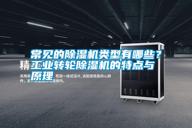 常見的除濕機(jī)類型有哪些？工業(yè)轉(zhuǎn)輪除濕機(jī)的特點(diǎn)與原理
