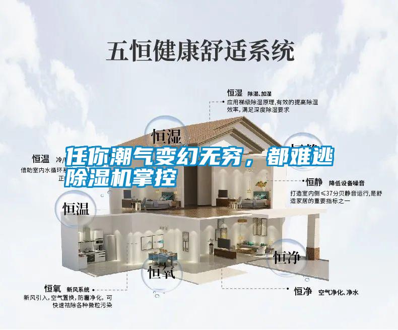 任你潮氣變幻無窮，都難逃除濕機掌控