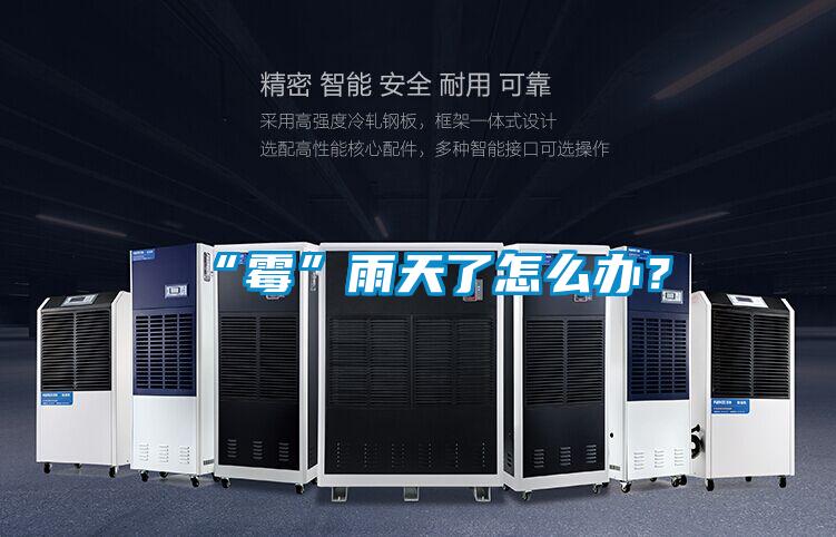 “霉”雨天了怎么辦？