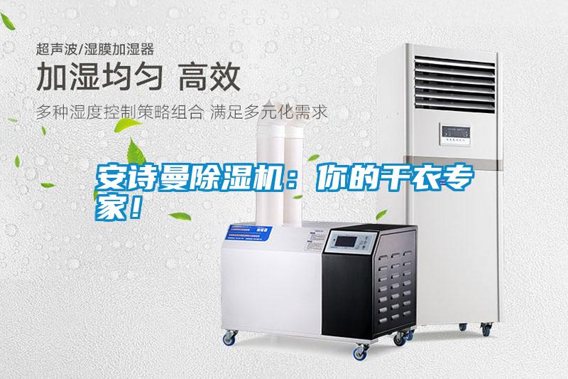 安詩(shī)曼除濕機(jī)：你的干衣專家！