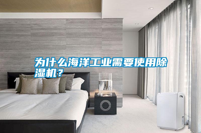 為什么海洋工業(yè)需要使用除濕機(jī)？