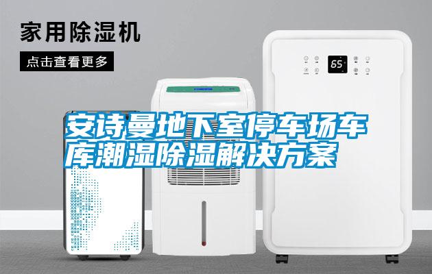 安詩(shī)曼地下室停車場(chǎng)車庫(kù)潮濕除濕解決方案