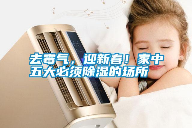 去霉氣，迎新春！家中五大必須除濕的場(chǎng)所