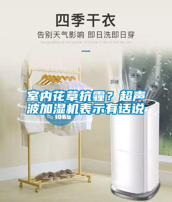 室內(nèi)花草抗霾？超聲波加濕機表示有話說