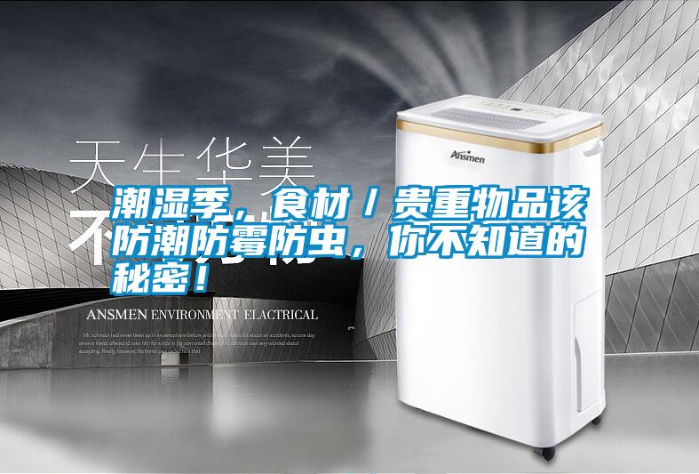 潮濕季，食材／貴重物品該防潮防霉防蟲，你不知道的秘密！