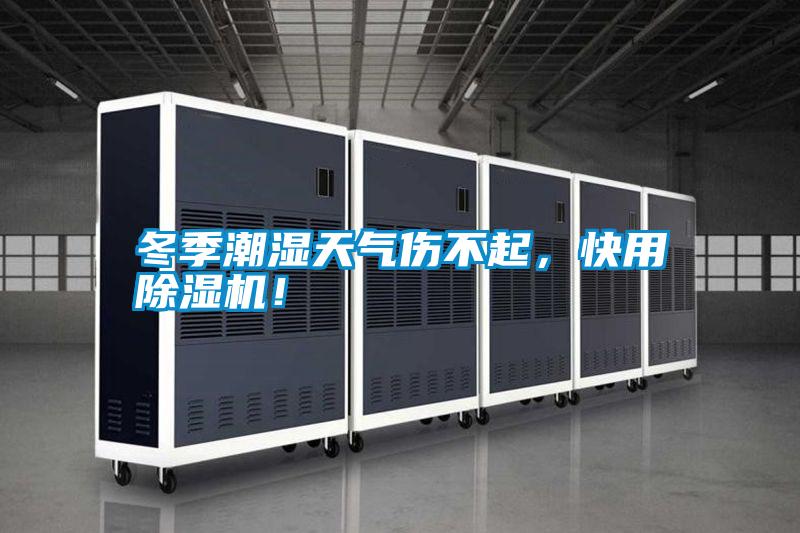 冬季潮濕天氣傷不起，快用除濕機！