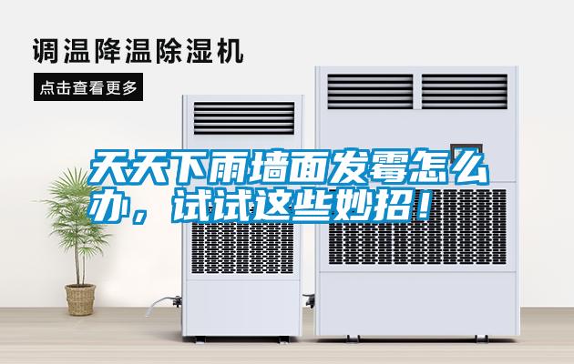天天下雨墻面發(fā)霉怎么辦，試試這些妙招！