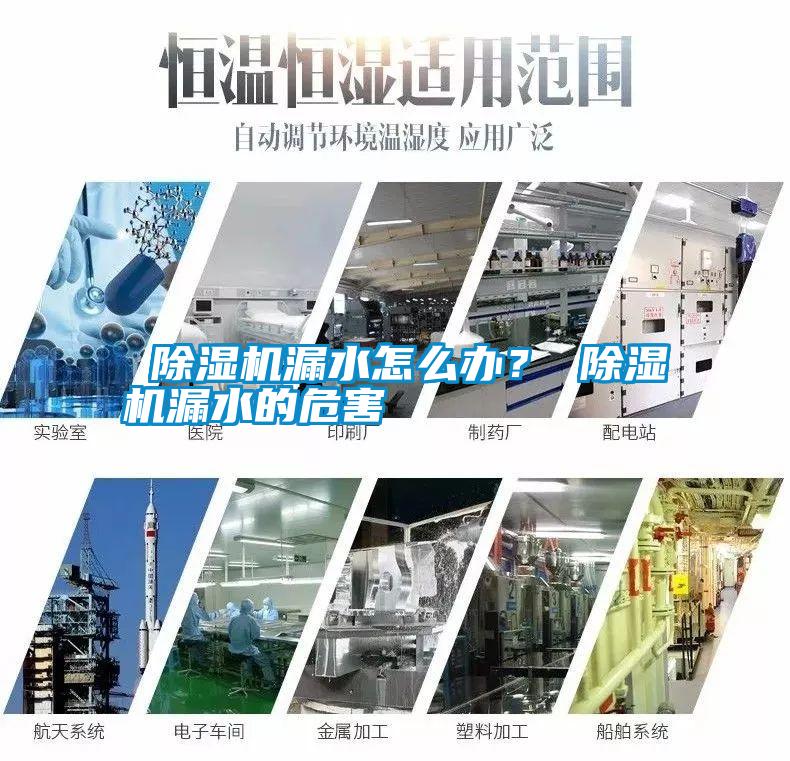  除濕機(jī)漏水怎么辦？ 除濕機(jī)漏水的危害