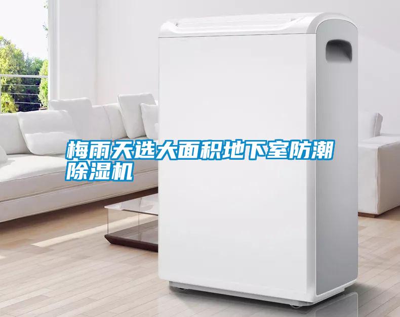 梅雨天選大面積地下室防潮除濕機