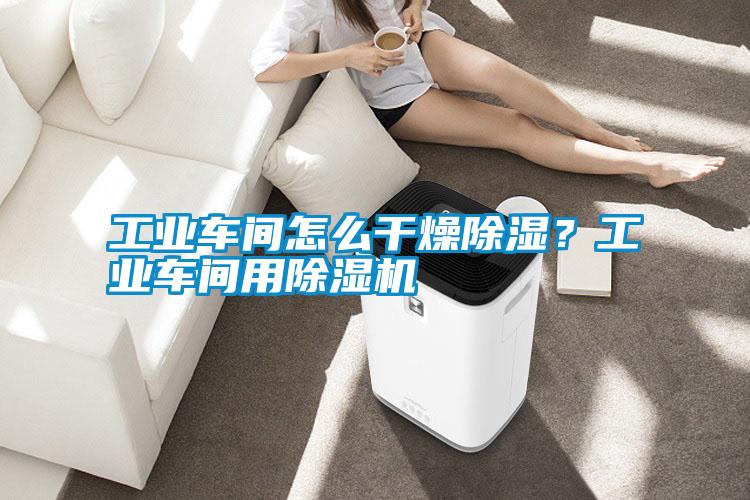 工業(yè)車(chē)間怎么干燥除濕？工業(yè)車(chē)間用除濕機(jī)
