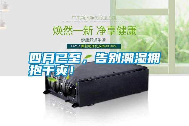 四月已至，告別潮濕擁抱干爽！
