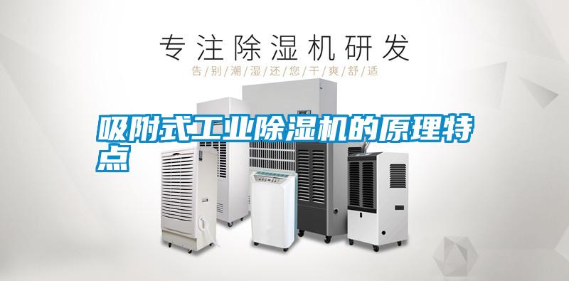 吸附式工業(yè)除濕機的原理特點