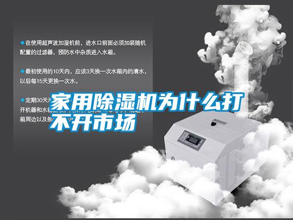 家用除濕機(jī)為什么打不開市場(chǎng)