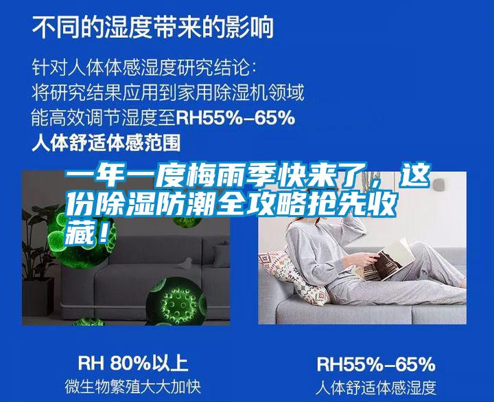 一年一度梅雨季快來了，這份除濕防潮全攻略搶先收藏！