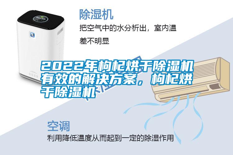 2022年枸杞烘干除濕機有效的解決方案，枸杞烘干除濕機