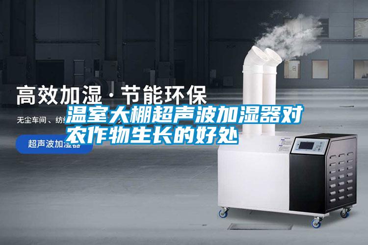 溫室大棚超聲波加濕器對農(nóng)作物生長的好處