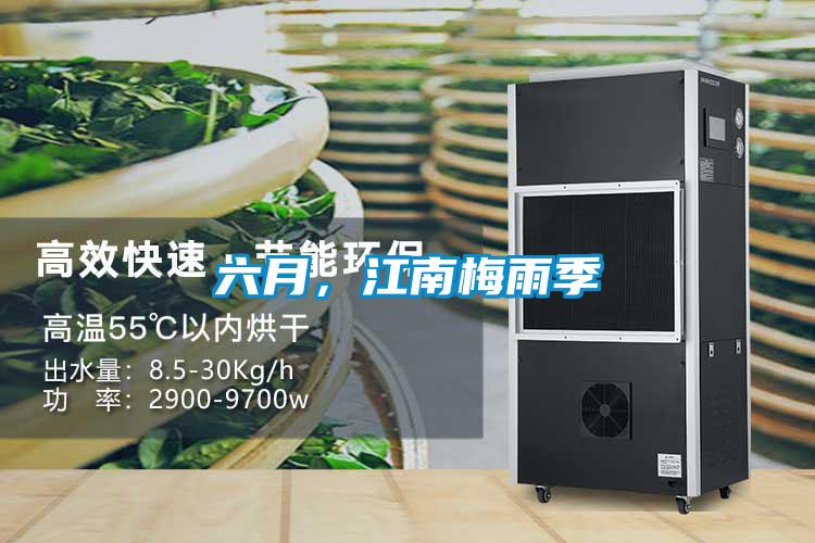 六月，江南梅雨季
