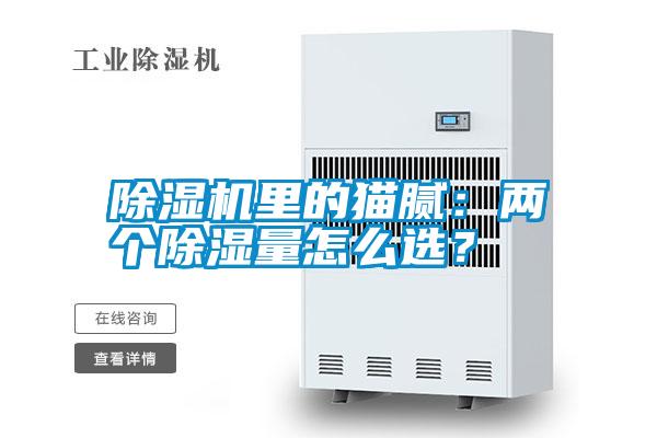 除濕機(jī)里的貓膩：兩個除濕量怎么選？