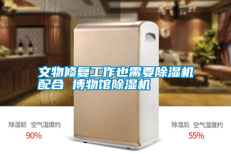 文物修復(fù)工作也需要除濕機(jī)配合 博物館除濕機(jī)