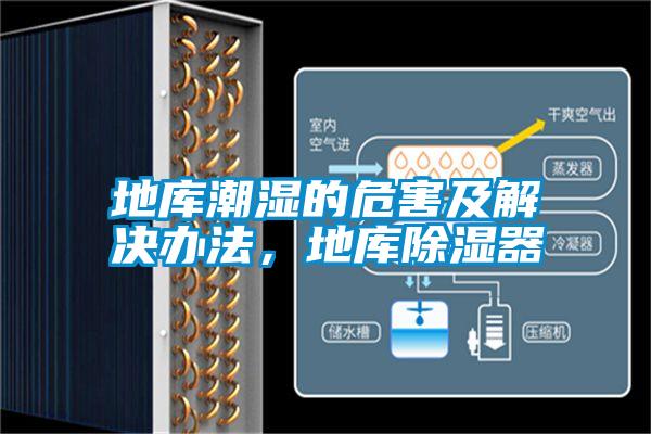 地庫潮濕的危害及解決辦法，地庫除濕器