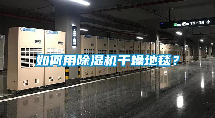 如何用除濕機(jī)干燥地毯？