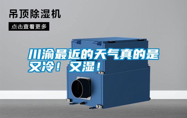 川渝最近的天氣真的是又冷！又濕！