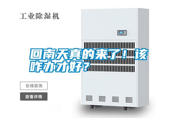 回南天真的來了！該咋辦才好？