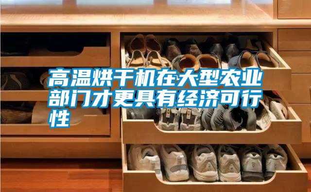高溫烘干機在大型農(nóng)業(yè)部門才更具有經(jīng)濟可行性