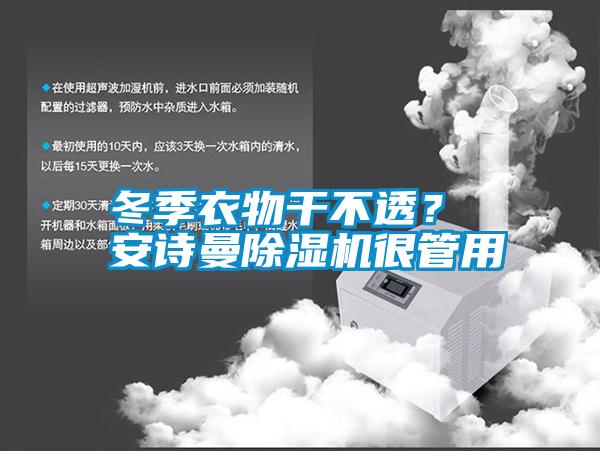 冬季衣物干不透？ 安詩曼除濕機很管用