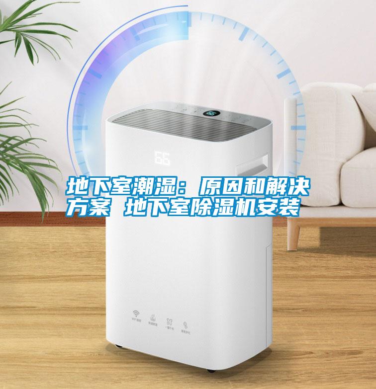 地下室潮濕：原因和解決方案 地下室除濕機(jī)安裝