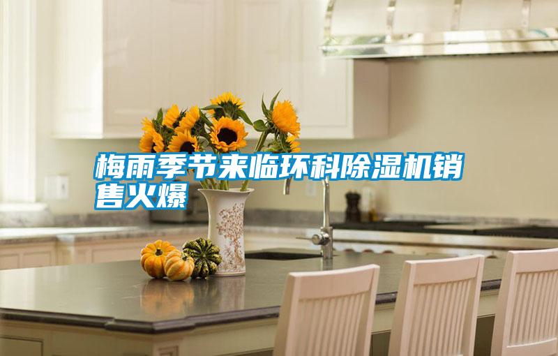 梅雨季節(jié)來臨環(huán)科除濕機(jī)銷售火爆