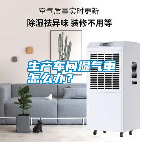 生產(chǎn)車間濕氣重怎么辦？