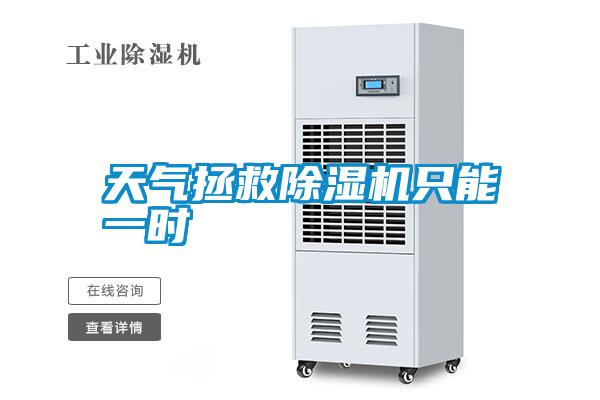 天氣拯救除濕機(jī)只能一時(shí)