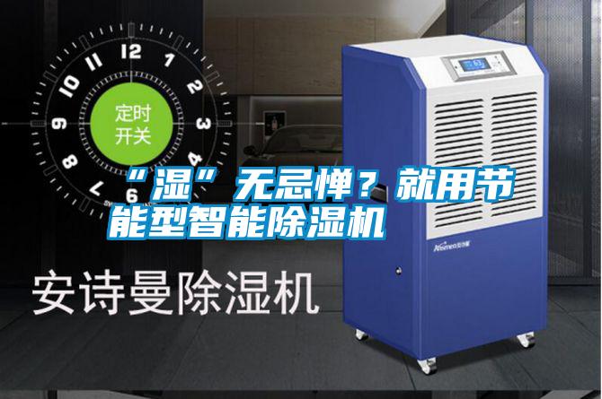 “濕”無忌憚？就用節(jié)能型智能除濕機