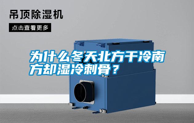 為什么冬天北方干冷南方卻濕冷刺骨？