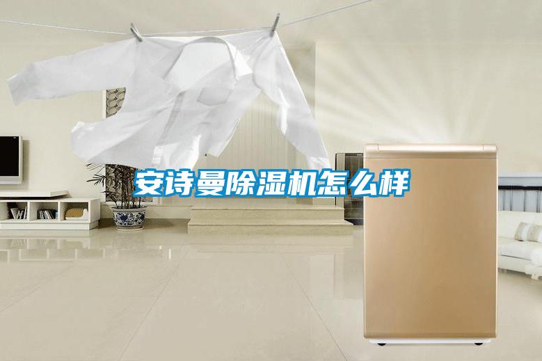 安詩曼除濕機(jī)怎么樣