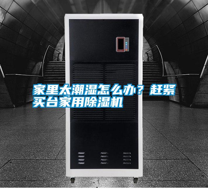 家里太潮濕怎么辦？趕緊買臺家用除濕機