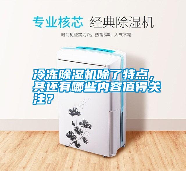 冷凍除濕機(jī)除了特點(diǎn)，其還有哪些內(nèi)容值得關(guān)注？