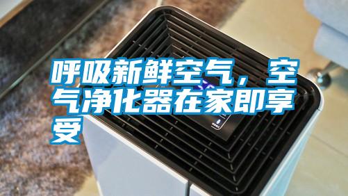 呼吸新鮮空氣，空氣凈化器在家即享受