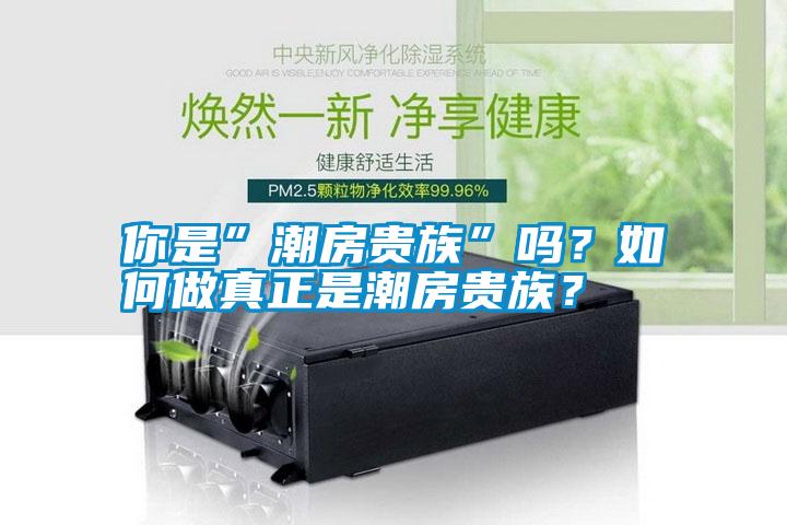 你是”潮房貴族”嗎？如何做真正是潮房貴族？