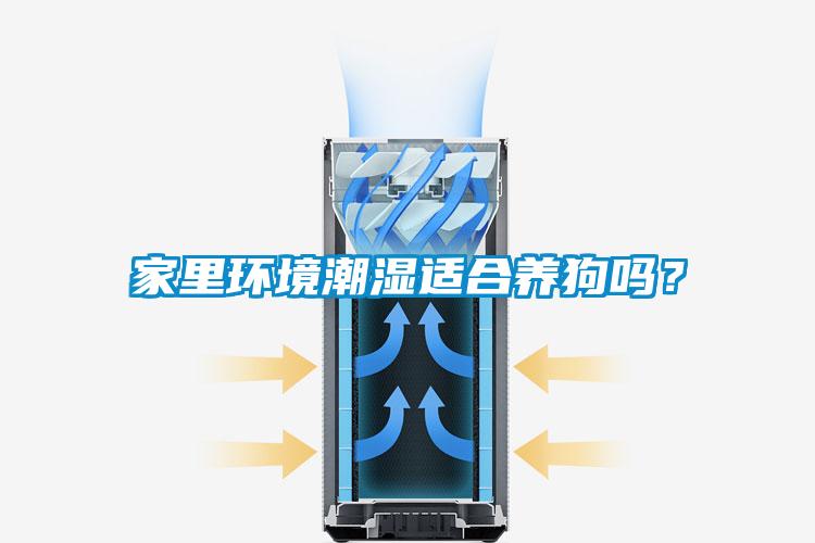家里環(huán)境潮濕適合養(yǎng)狗嗎？
