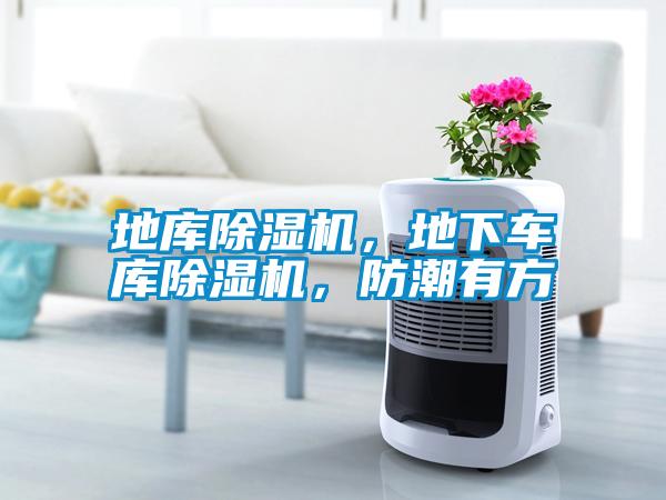 地庫除濕機，地下車庫除濕機，防潮有方