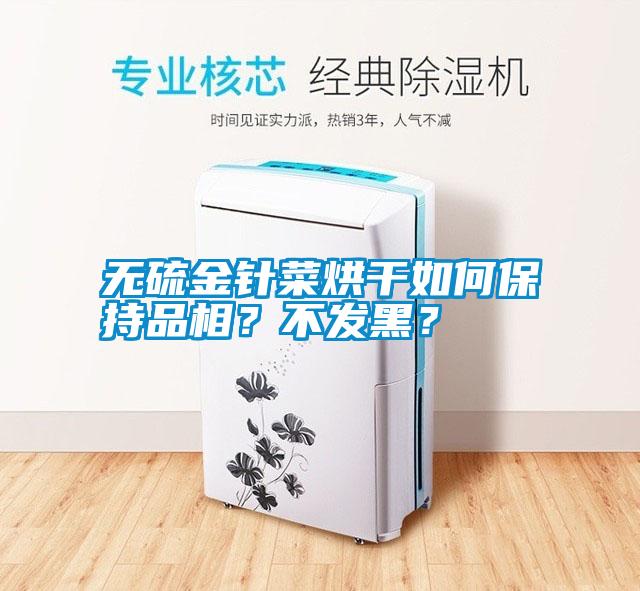 無(wú)硫金針菜烘干如何保持品相？不發(fā)黑？