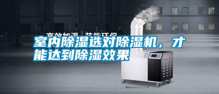 室內(nèi)除濕選對除濕機(jī)，才能達(dá)到除濕效果