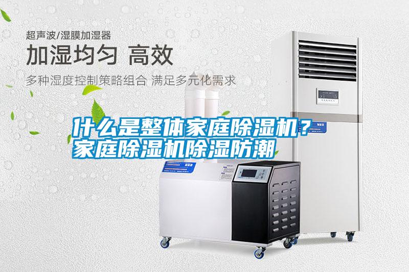 什么是整體家庭除濕機(jī)？ 家庭除濕機(jī)除濕防潮