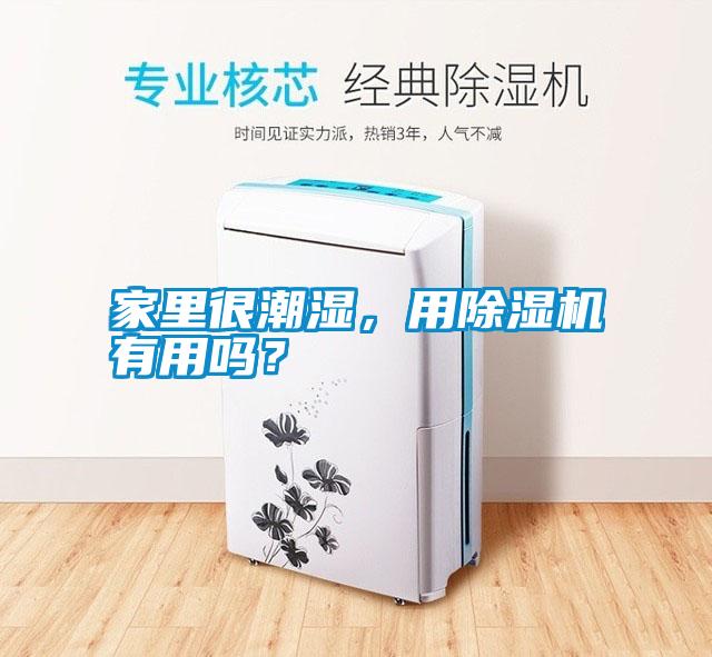 家里很潮濕，用除濕機有用嗎？